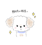 マルプーこたろう（個別スタンプ：16）