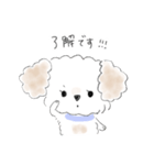 マルプーこたろう（個別スタンプ：18）