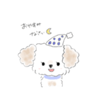 マルプーこたろう（個別スタンプ：19）