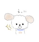 マルプーこたろう（個別スタンプ：23）