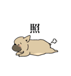 ブルちゃんズ（個別スタンプ：3）