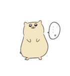 キンクマハムスターころすけスタンプ（個別スタンプ：1）