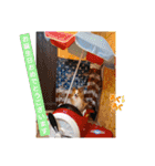 ぱぴぱぴパピヨン32（個別スタンプ：11）