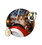 ぱぴぱぴパピヨン32（個別スタンプ：17）