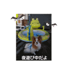 ぱぴぱぴパピヨン32（個別スタンプ：23）