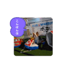 ぱぴぱぴパピヨン32（個別スタンプ：24）