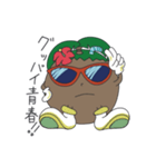 ココナツくん（個別スタンプ：16）