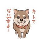 栄島の犬スタンプ（個別スタンプ：1）