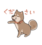 栄島の犬スタンプ（個別スタンプ：2）