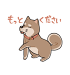 栄島の犬スタンプ（個別スタンプ：3）