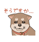 栄島の犬スタンプ（個別スタンプ：4）