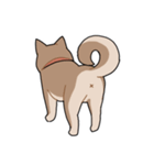 栄島の犬スタンプ（個別スタンプ：5）