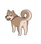 栄島の犬スタンプ（個別スタンプ：6）