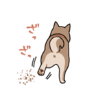 栄島の犬スタンプ（個別スタンプ：7）