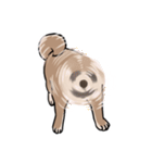 栄島の犬スタンプ（個別スタンプ：8）
