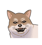 栄島の犬スタンプ（個別スタンプ：9）