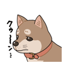 栄島の犬スタンプ（個別スタンプ：13）