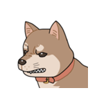 栄島の犬スタンプ（個別スタンプ：14）