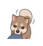 栄島の犬スタンプ（個別スタンプ：15）