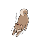 栄島の犬スタンプ（個別スタンプ：16）