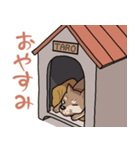栄島の犬スタンプ（個別スタンプ：18）