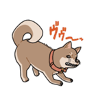 栄島の犬スタンプ（個別スタンプ：21）