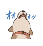 栄島の犬スタンプ（個別スタンプ：22）