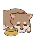 栄島の犬スタンプ（個別スタンプ：23）
