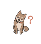栄島の犬スタンプ（個別スタンプ：26）