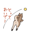 栄島の犬スタンプ（個別スタンプ：36）