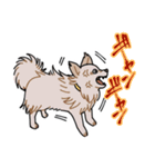 栄島の犬スタンプ（個別スタンプ：39）