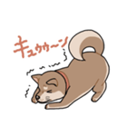 栄島の犬スタンプ（個別スタンプ：40）
