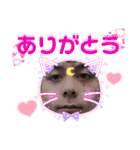 NOWのスタンプ（個別スタンプ：5）