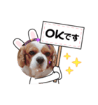 チャーリー君（個別スタンプ：3）