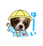 チャーリー君（個別スタンプ：4）