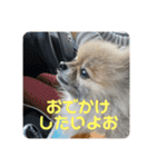 れお↑ぽん↓2（個別スタンプ：1）