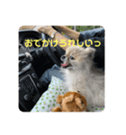 れお↑ぽん↓2（個別スタンプ：2）