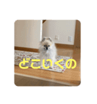 れお↑ぽん↓2（個別スタンプ：3）