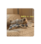 れお↑ぽん↓2（個別スタンプ：4）