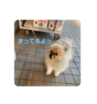 れお↑ぽん↓2（個別スタンプ：6）