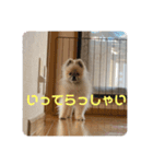 れお↑ぽん↓2（個別スタンプ：7）