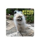 れお↑ぽん↓2（個別スタンプ：15）