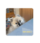 れお↑ぽん↓2（個別スタンプ：16）