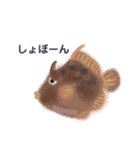 ゆるい生き物（海）ウミウシ.チンアナゴetc（個別スタンプ：15）