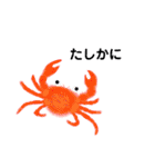 ゆるい生き物（海）ウミウシ.チンアナゴetc（個別スタンプ：20）