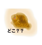 ゆるい生き物（海）ウミウシ.チンアナゴetc（個別スタンプ：37）