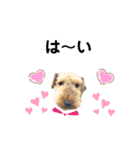 ウェルシュテリア ♡ジェリーさんの1日(14)（個別スタンプ：3）