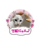 ブルーアイモカ（個別スタンプ：5）