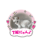 ブルーアイモカ（個別スタンプ：6）