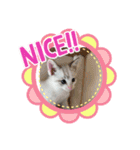 ブルーアイモカ（個別スタンプ：14）